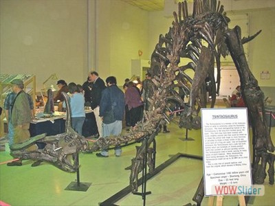 2010 Show Special Exhibit - Tsintaosaurus Dinosaur